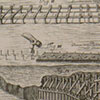 Wuhren und Wuhrbau aus Theatrummachinarchumhydrotechnicarum - Schauplatz der Wasserbau-Kunst 1724