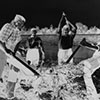 Herstellen eines Reisigbündels für den Bau einer Faschine, Wasserwehrkurs November 1954
Das Einschlagen von Pfählen