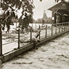 Rheinhochwasser 1954: Holzbrücke zwischen Oberfahr und Lustenau mit einem auf dem Bauch liegenden Mann, der Äste aus dem Fluss fischt
