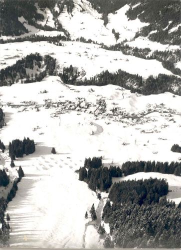 Lawinenverbauung ob Riezlern