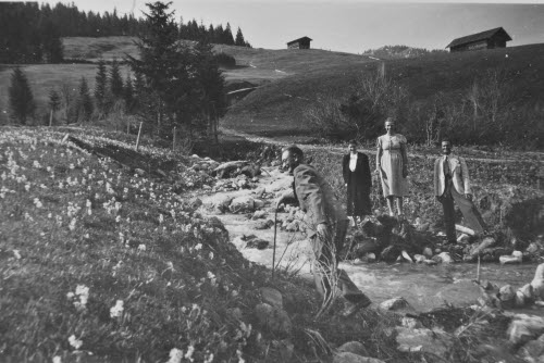 Frühling auf der Gatteralm