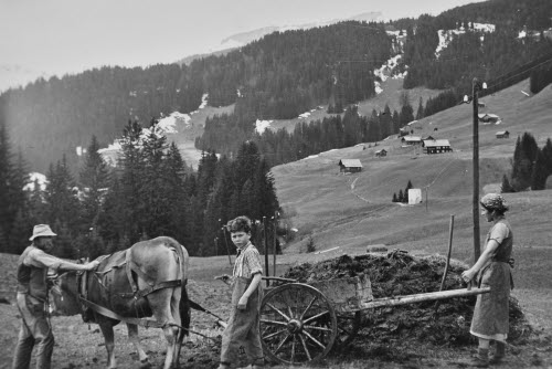 Mist ausführen