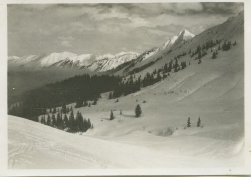 Blick in das Schwarzwassertal