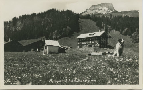 Alpengasthof Auenhütte 1340 mtr.